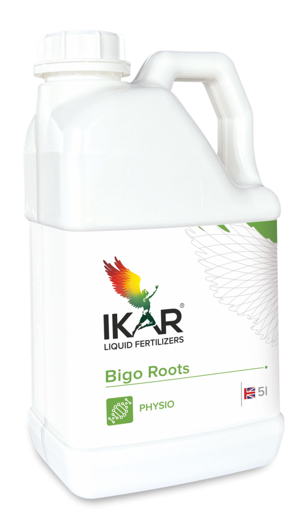 IKAR BIGO ROOTS / БІГО РУТС