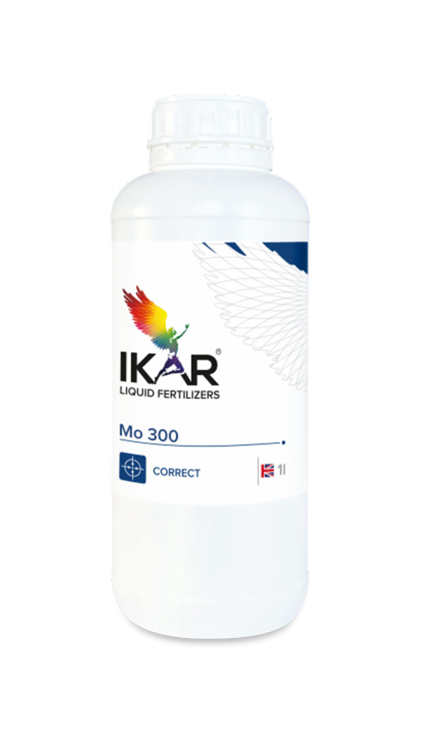 IKAR Мо300