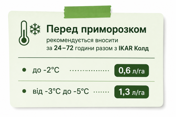 ІКАR KALISI / КАЛІСІ