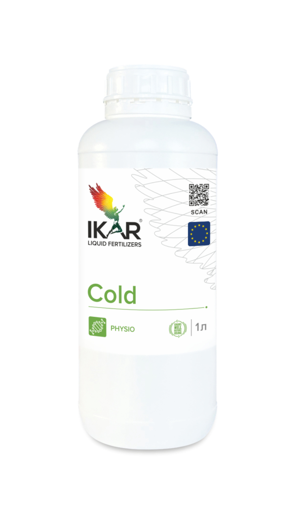 IKAR COLD / КОЛД