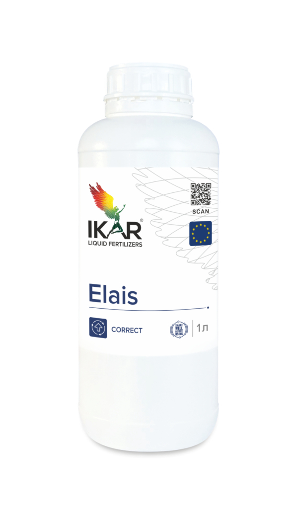 IKAR ELAIS / ЕЛАЙЗ