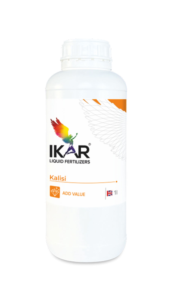 ІКАR KALISI / КАЛІСІ