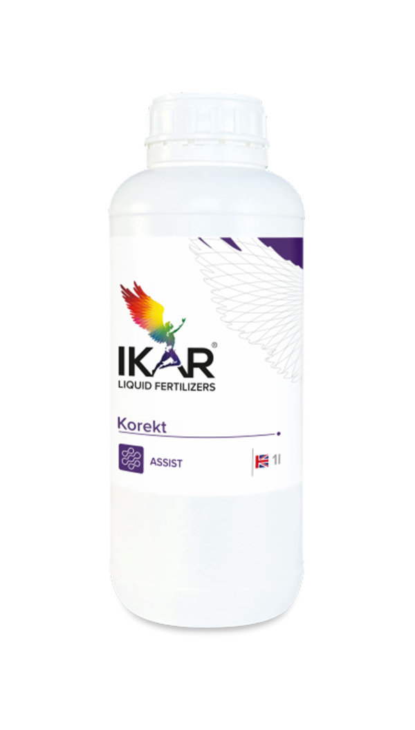 IKAR KOREKT / КОРЕКТ