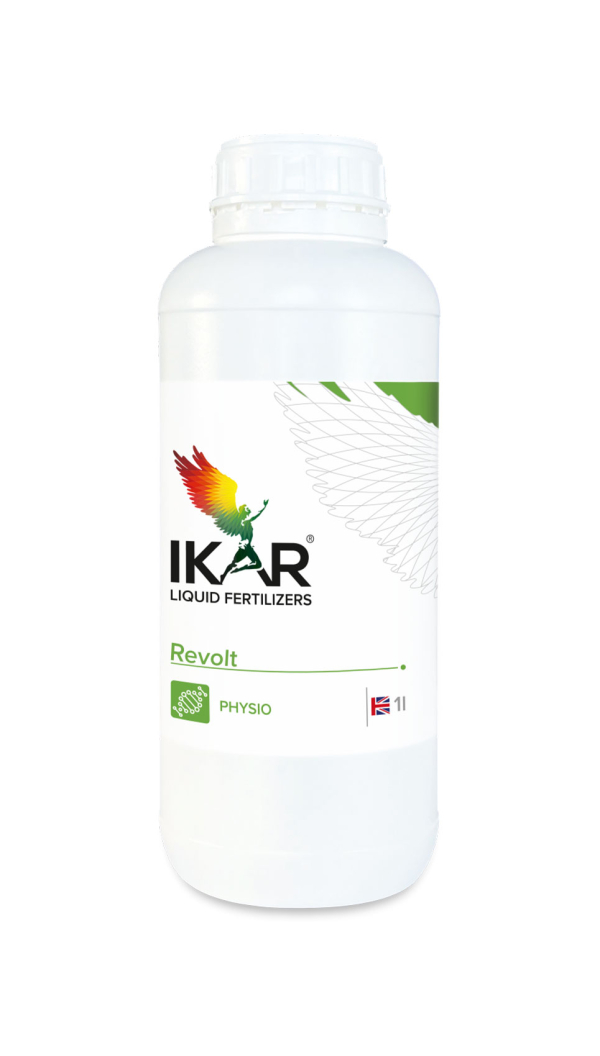 IKAR REVOLT / РЕВОЛТ
