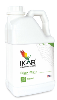 IKAR BIGO ROOTS / БІГО РУТС