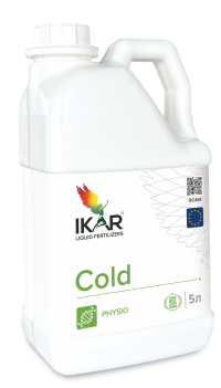 IKAR COLD / КОЛД