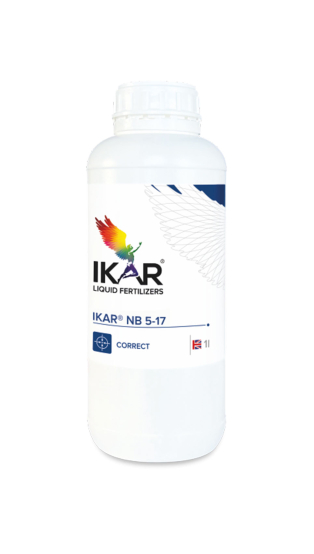 IKAR NB 5-17/Бор 170
