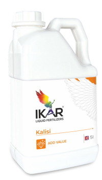 ІКАR KALISI / КАЛІСІ
