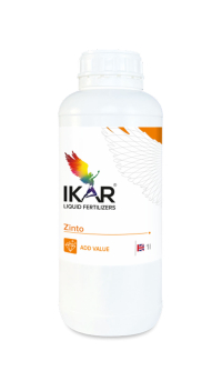 IKAR ZINTO / ЗІНТО