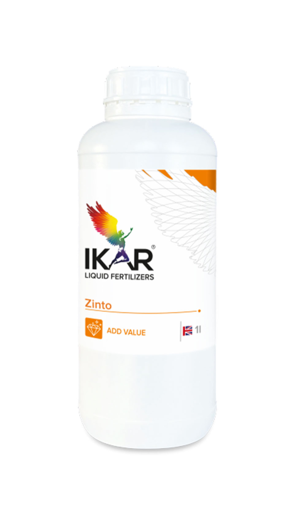 IKAR ZINTO / ЗІНТО