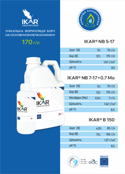 БОР 170 та БОР 170 +0,7М