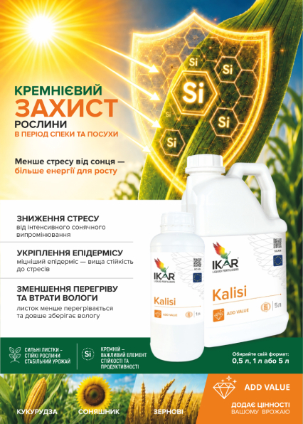 IKAR КАЛІСІ
